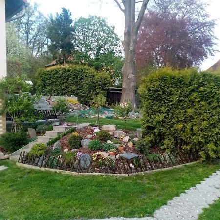 شقة Apartman Ivana رومبورك المظهر الخارجي الصورة